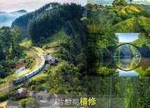 17号足球比分-17号足球比分，绿茵场上的激情瞬间与数据背后的故事