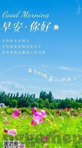 足球比分网水位-深度解析足球比分网水位玄机，从数据波动看足球博彩的隐秘逻辑